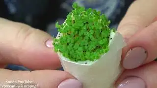 НОВЫЙ СУПЕР БЫСТРЫЙ ПОСЕВ ЗА 2 СЕКУНДЫ БЕЗ ЗЕМЛИ!