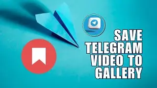 Couldnt Find the Downloaded Video from Telegram? How to Download and Save Telegram Video to Gallery