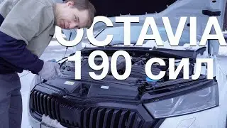 Октавия A8 2.0 190 сил: наконец-то едет? Skoda Octavia 2.0 vs 1.4 - обзор, цены, интерьер