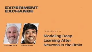 Modeling Deep Learning After Neurons in the Brain