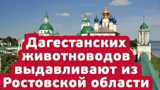 Дагестанские чабаны в тисках системы. Часть 1
