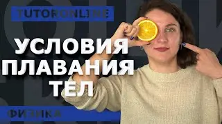 Физика | Условия плавания тел