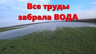 ВСЕ НАШИ ТРУДЫ ПОД ВОДОЙ / Подтопление полей в Краснодарском Крае