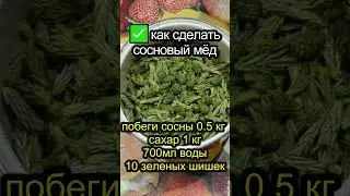 🔥КАК СДЕЛАТЬ сосновый мёд ИЗ ПОБЕГОВ СОСНЫ | 🔴сосновое варенье | БАД 💪своими руками!!  