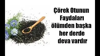 Çörek Otunun Faydaları-ölümden başka her derde deva vardır