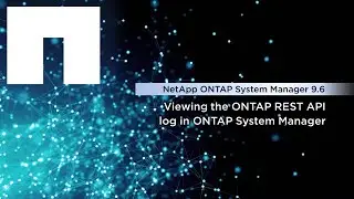 Viewing REST API Logs in ONTAP System Manager
