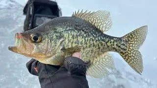 Ice Fishing Connecticut! New England First Ice SLAYFEST (2024)