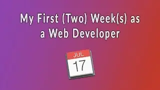 My First Two Weeks as a new Web Developer | Observations & Experiences in my new job