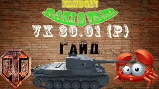 VK 30.01 (P). ГАЙД.