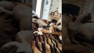 Фарадэй, ты ни туда очки надел😆😜