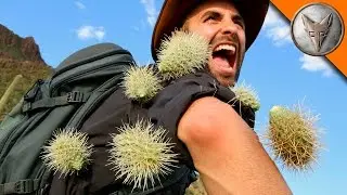 EXTREME Cactus Attack!