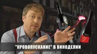 Что такое [КРОВОПУСКАНИЕ] в виноделии - новый термин