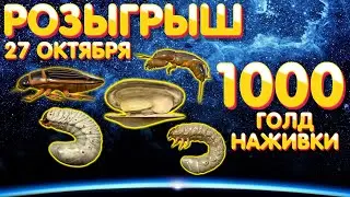 1000 голд наживки РОЗЫГРЫШ 🎁 27 октября 🎁 Русская Рыбалка 4