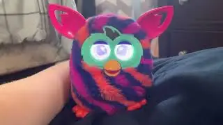 Pulling￼ my ￼Diagonal stripes Furby boom’s tail￼