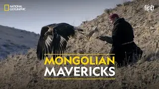 Mongolian Mavericks | Primal Survivor |  हिन्दी | Full Episode | S1 - E5 | National Geographic