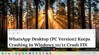 WhatsApp Desktop PC Version Keeps Crashing in Windows 10/11 Crash FIX