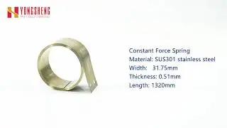 Big Width Constant Force Spring