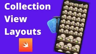 Collection View Layout & Sizing (Xcode 12, Swift 5, 2020) - iOS Development