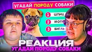 ПЯТЁРКА И МИСТЕР ПЯТЁРКА УГАДЫВАЮТ ПОРОДУ СОБАКИ ПО ФОТО 🤔❓🐶 / EMOJI COOL 😎