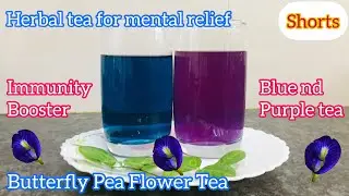 Anti-Aging Blue HerbalTea | Immunity Booster | ButterflyPeaFlowerTea | 