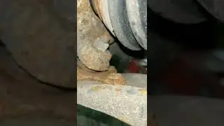 А ты понял?