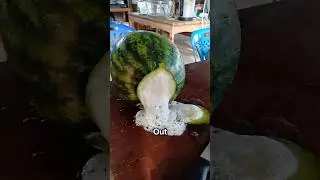Do Not Cut It 😨