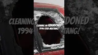 Deep Cleaning an ABANDONED Mustang!