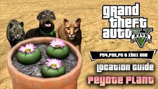 GTA 5 - Peyote Plants Complete Location Guide [2024]