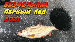 БЕЗМОТЫЛКА МЕДУЗА, ЧЁРТИК , ГВОЗДЕШАРИК . ПЕРВЫЙ ЛЁД.
