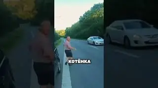 Этот мужчина спас котенка! 😱 Невероятная история