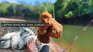 CARA Mancing ikan Sungai _ mancing ikan Sangat mudah menggunakan umpan jitu Mancing ikan Baung_tawes