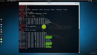 008 Просматриваем содержимое папок Kali Linux | Кали Линукс