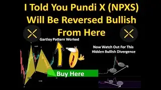 I Told You Pundi X (NPXS) Will Be Reversed Bullish From Here