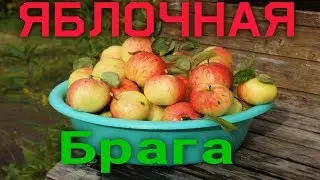 БРАГА ИЗ ЯБЛОК НА ФРУКТОВЫХ ДРОЖЖАХ BRAGMAN