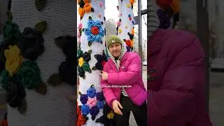 Зачем корейцы одевают деревья в милые свитера