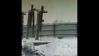 Якутск Бездомные собаки напали на женщину. ОНА ПОГИБЛА........