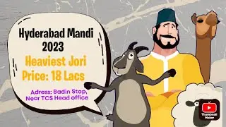 Hyderabad Mandi Badin Stop | 2023 | Karan+Arujun | 18 Lacs