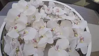 ЯХТА 80 ФУТОВ-ПРОДАЖА 4.6 МИЛЛИОНА ДОЛЛАРОВ-ОБЗОР