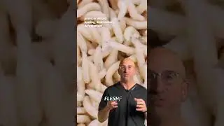 Maggot Therapy Still Saves Limbs 
