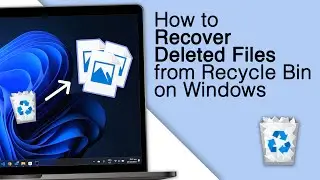 How to Recover Deleted Files from Recycle/Trash Bin on Windows! [2024]