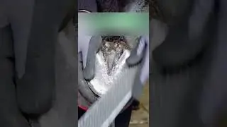 Зачем лошадям серебрянные подковы 🤯