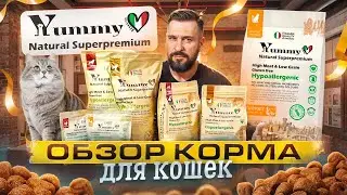 Итальянцы в Подольске или что за сухой корм Yummy Linea | Обзор корма для кошек