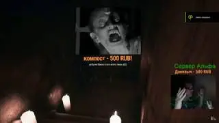 Пираний Бомбит и откладывает личинки в Visage