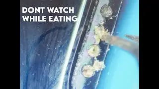 Live Video of Cleaning One Plus Nord Ear Phone Speaker - Simple & Easy (Under Microscope Video)