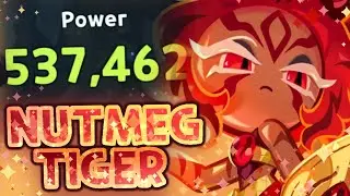 INSANE Fire Support! BUT HOW META is Nutmeg Tiger Cookie? (Review)