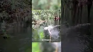 Казахи на рыбалке  😳🎣