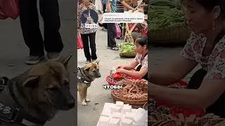 Посылают собаку на рынок 😯🔥🐕