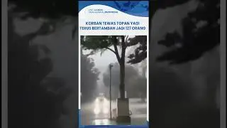 Korban Tewas Topan Yagi Vietnam Terus Bertambah Jadi 127 Orang