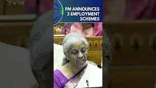 Govt Announces 3 Employment-Linked Incentive Schemes Based On EPFO Enrolment | Budget 2024 | N18S