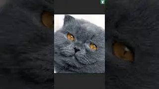 как правильно КЛОНИРОВАТЬ в PHOTOSHOP, источник клонов в ФОТОШОП, инструмент штамп 